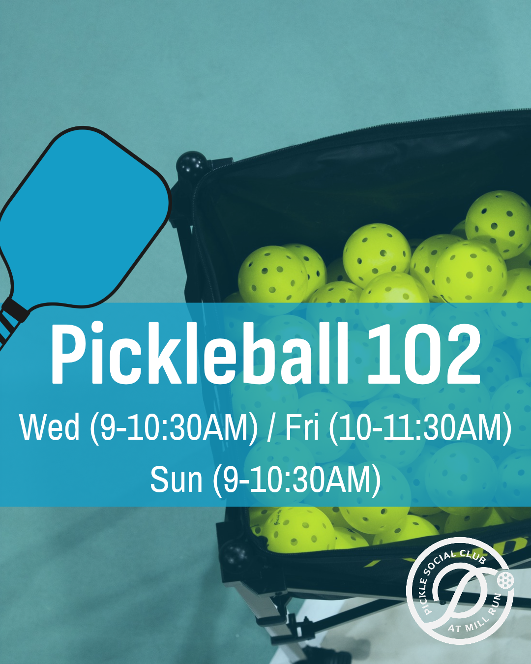 Pickleball 102 