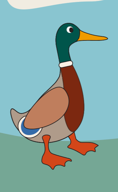 Mr. Duckworth, an original mallard duck character from The StoryBuilder Studio's Front Yard Friends  quilt appliqué collection.