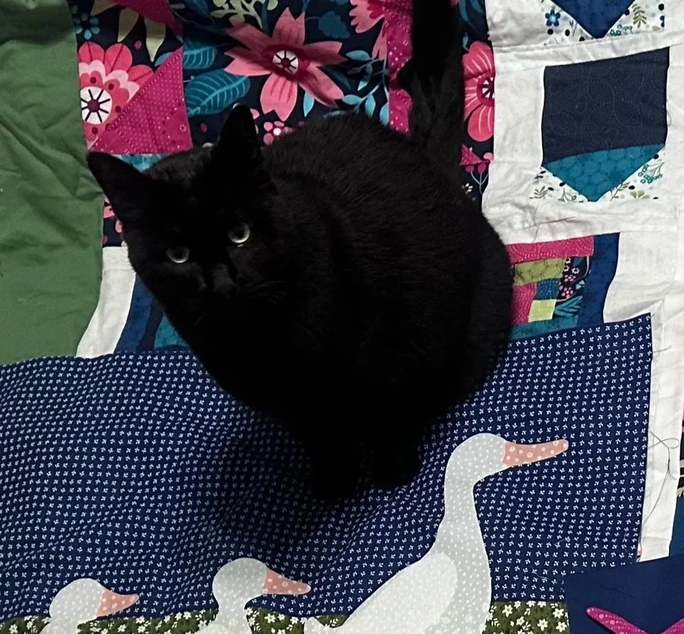 A black cat sitting on a colorful quilt with a goose design.