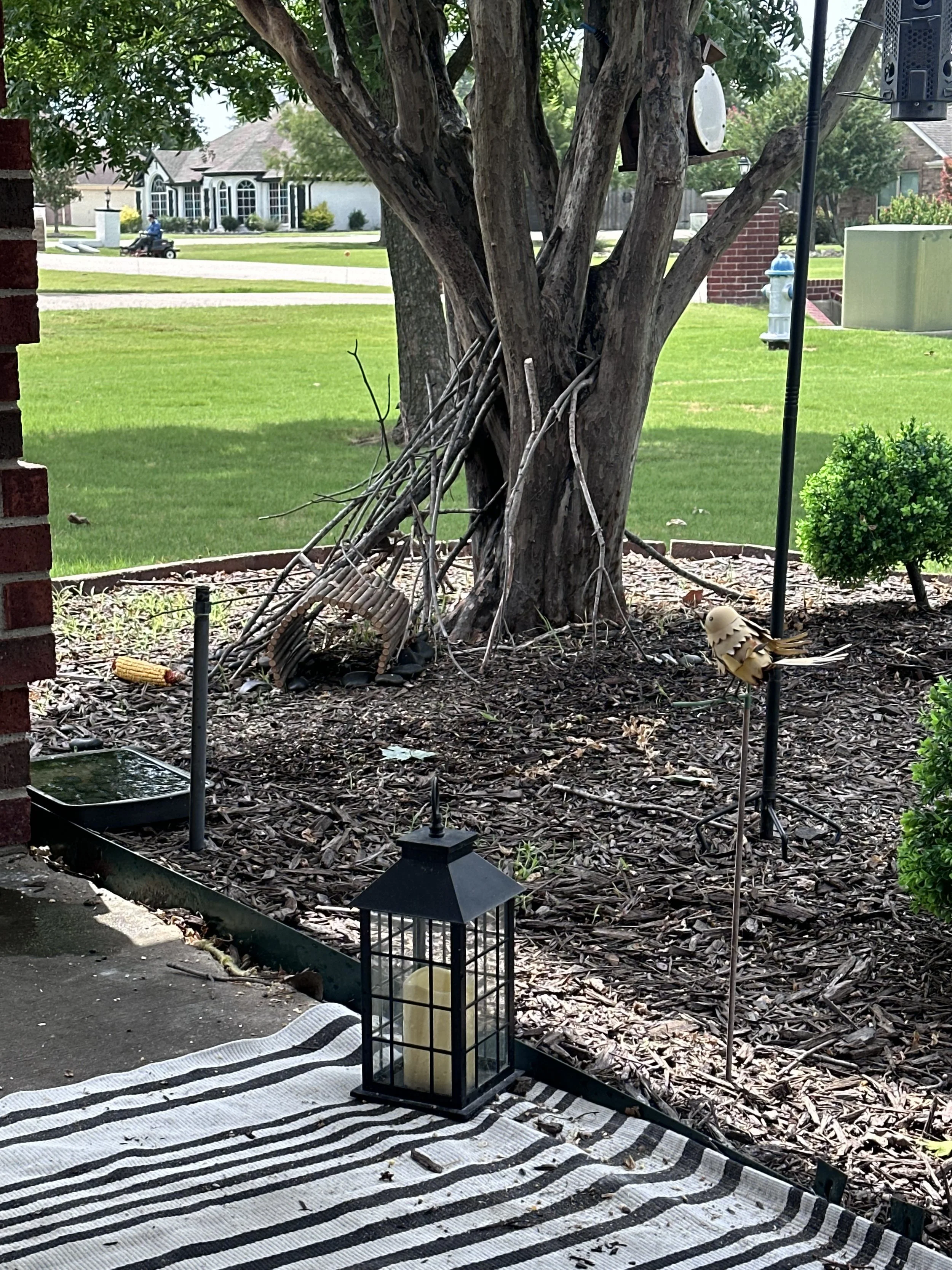 A garden scene with a large tree, decorative items, and a view of houses in the background. The image includes a black lantern, a striped outdoor rug, and various garden ornaments.