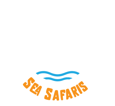 Dublin Bay Sea Safaris