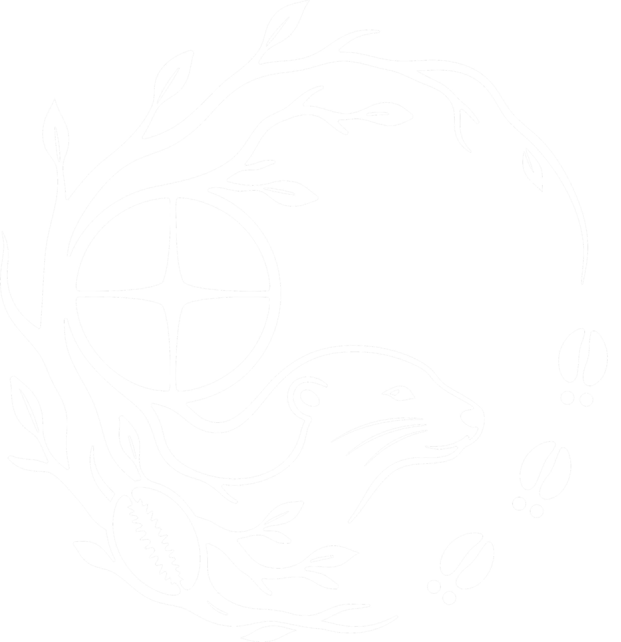 Black background with a white outline of a dinosaur skull with detailed bone structure and features.