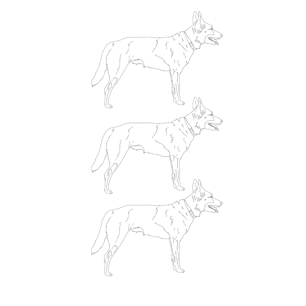 Outline drawing of three dogs, one above the other, on a black background.