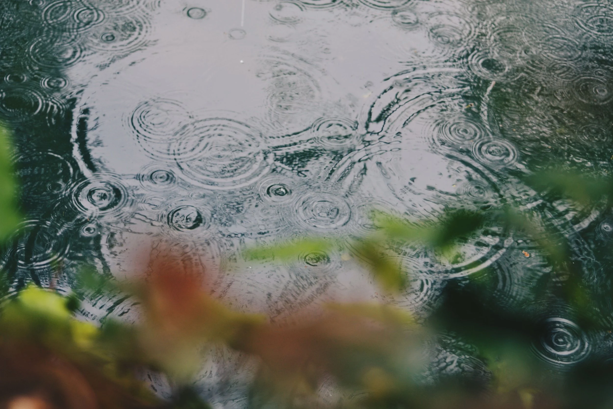 Why Your Body Needs Water