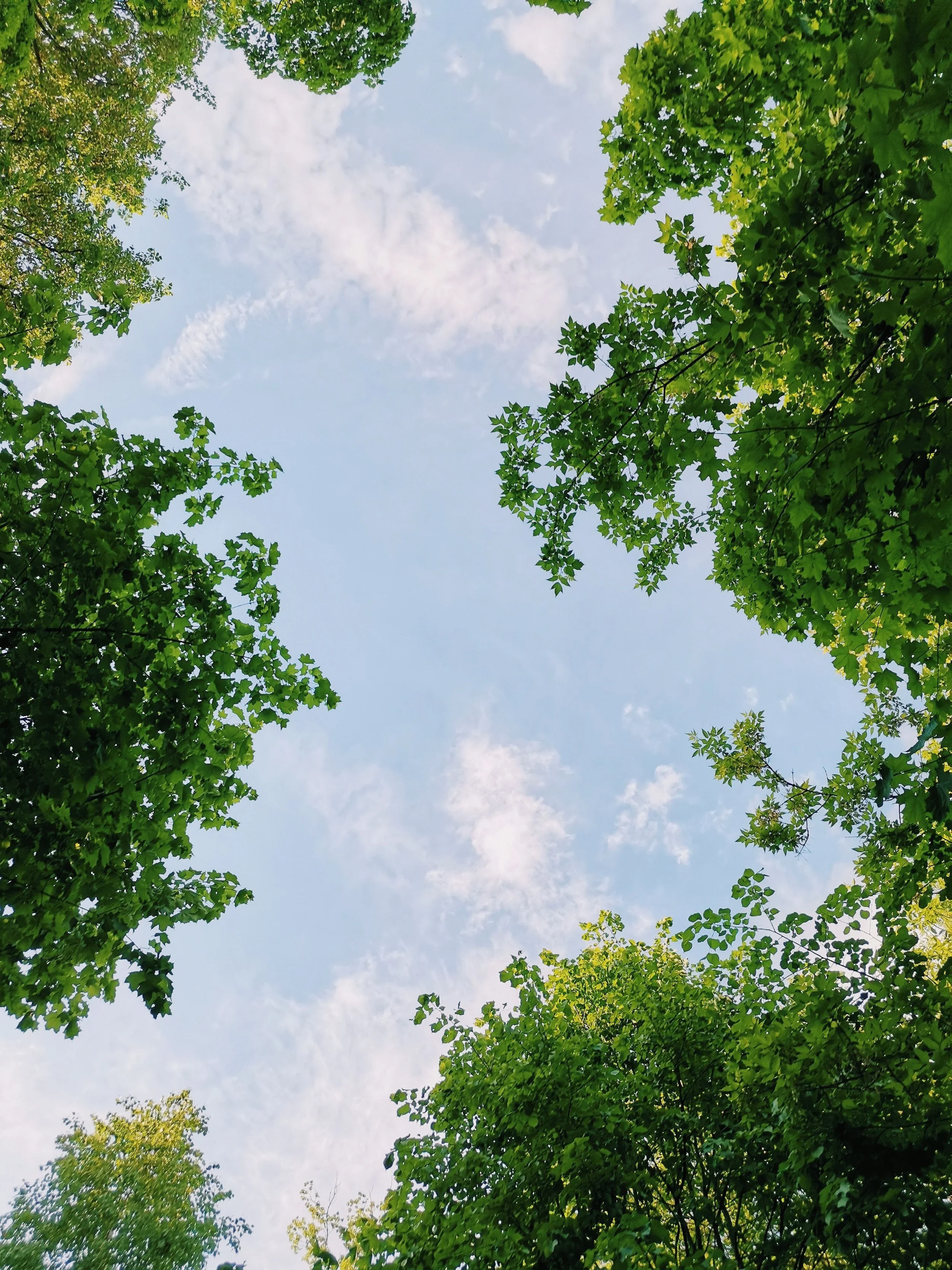 S1 EP 10 | Pelvic Floor Health