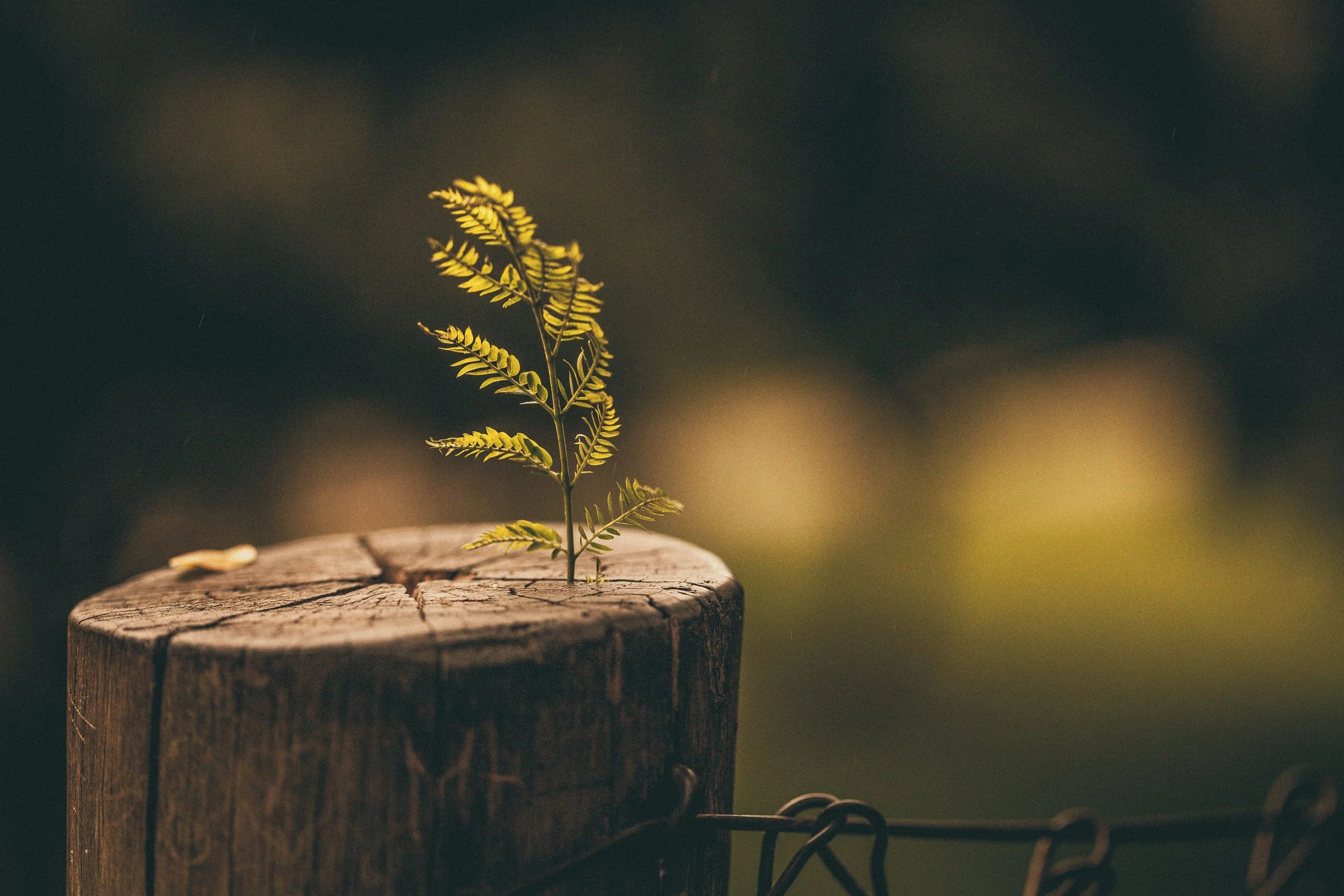 Hypermobility and your gut