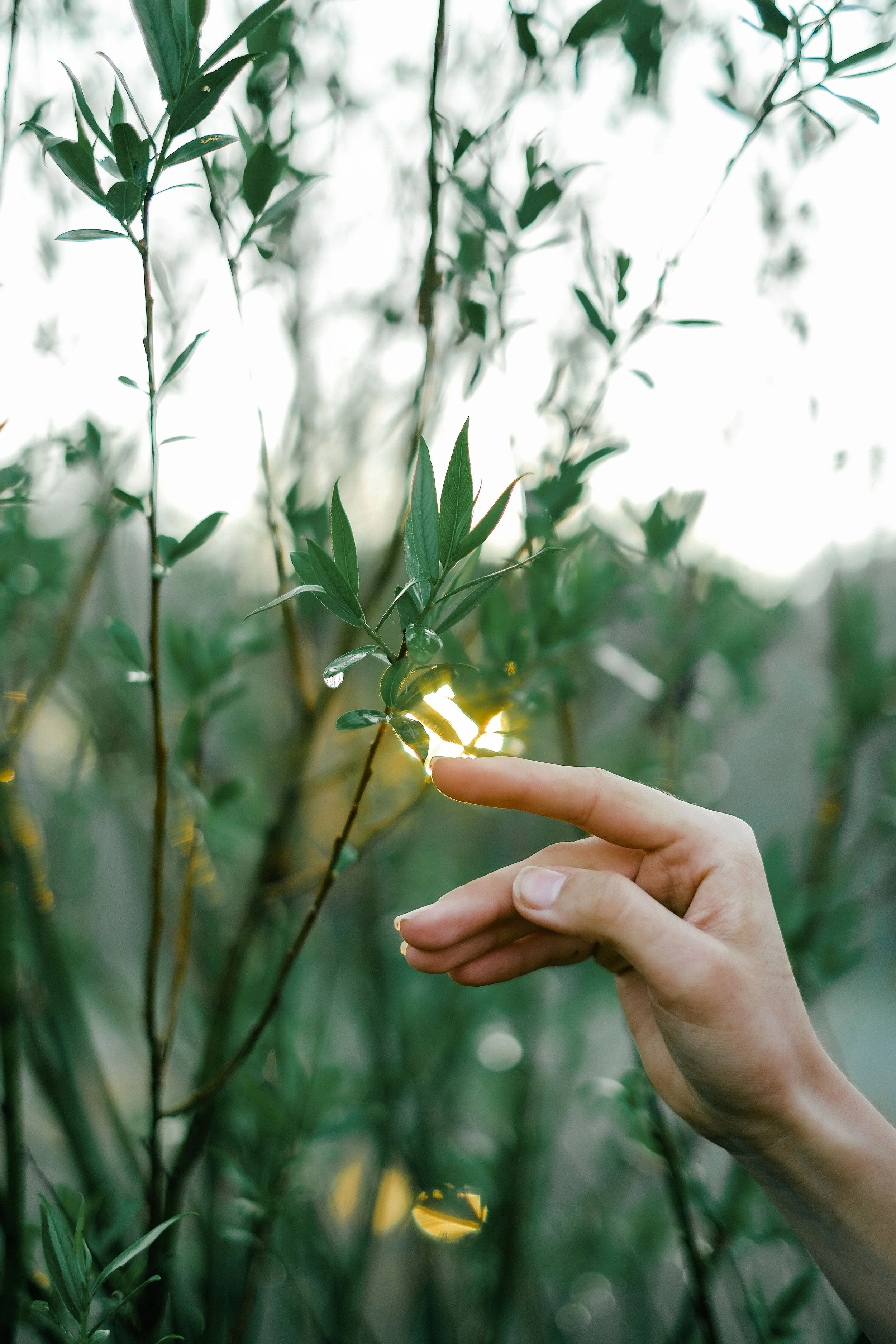 A simple way to support your gut