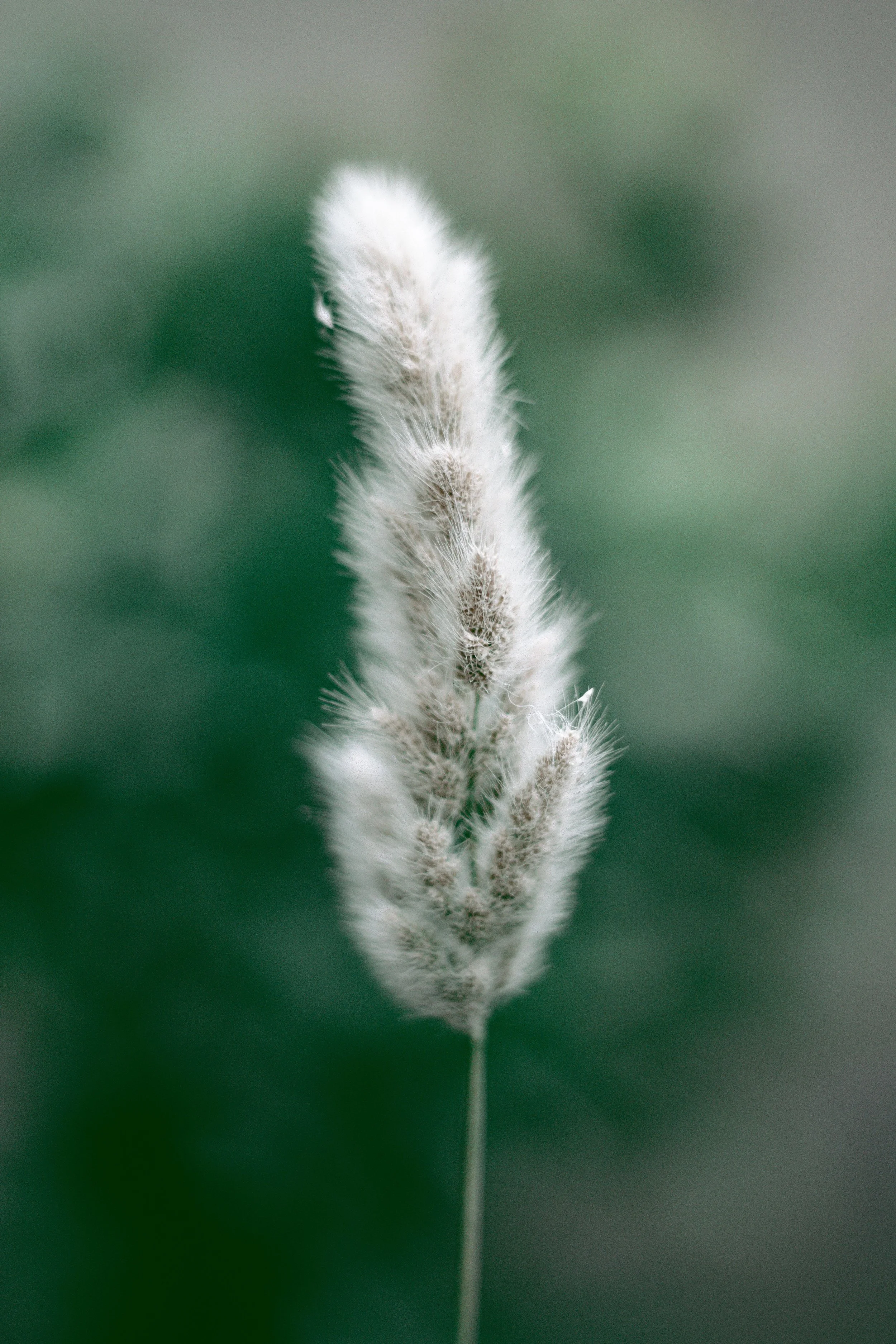 S2, Ep 1: The Hidden Barriers of Self-Doubt