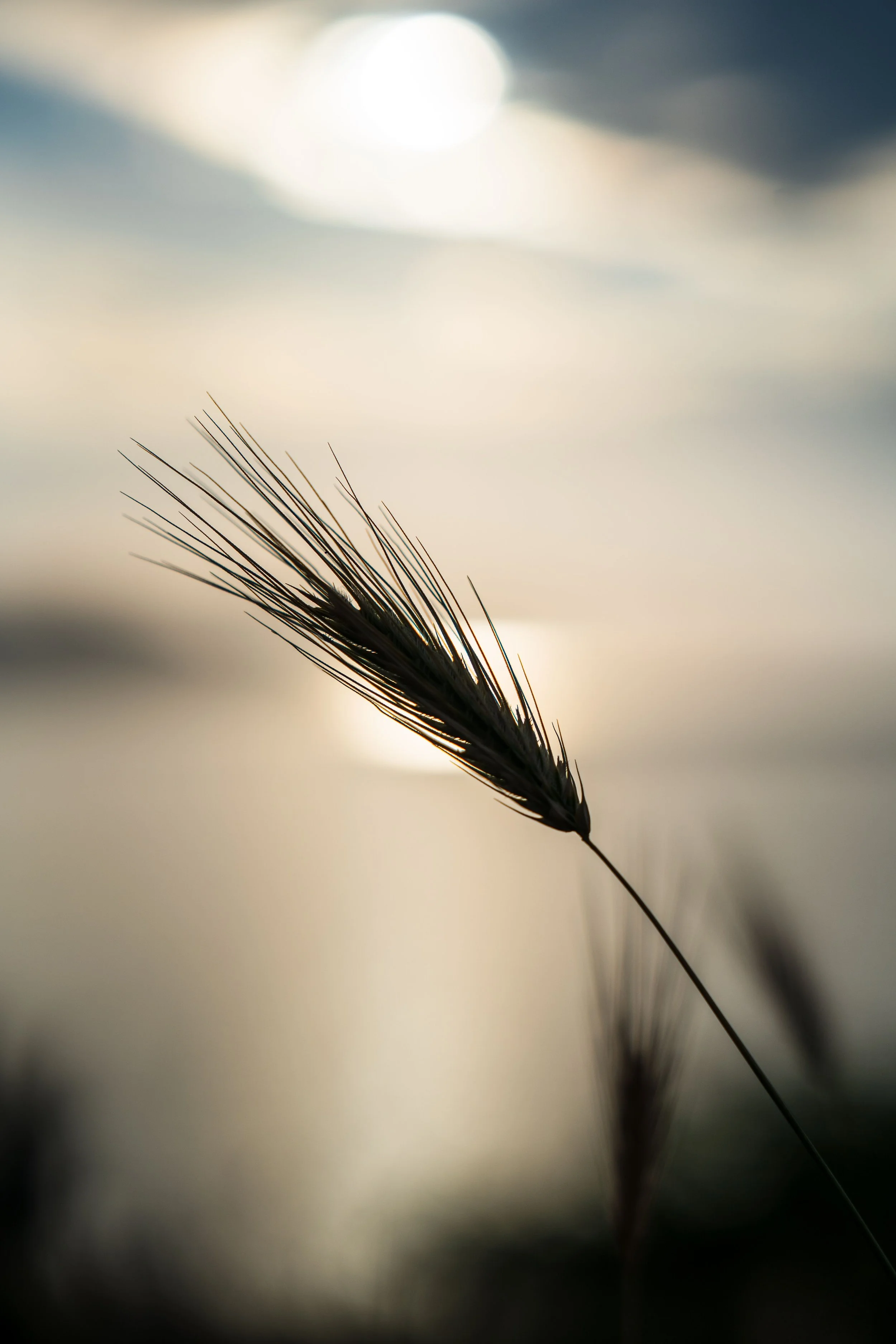 S2 Ep 2: The Hidden Barriers of Self-Doubt