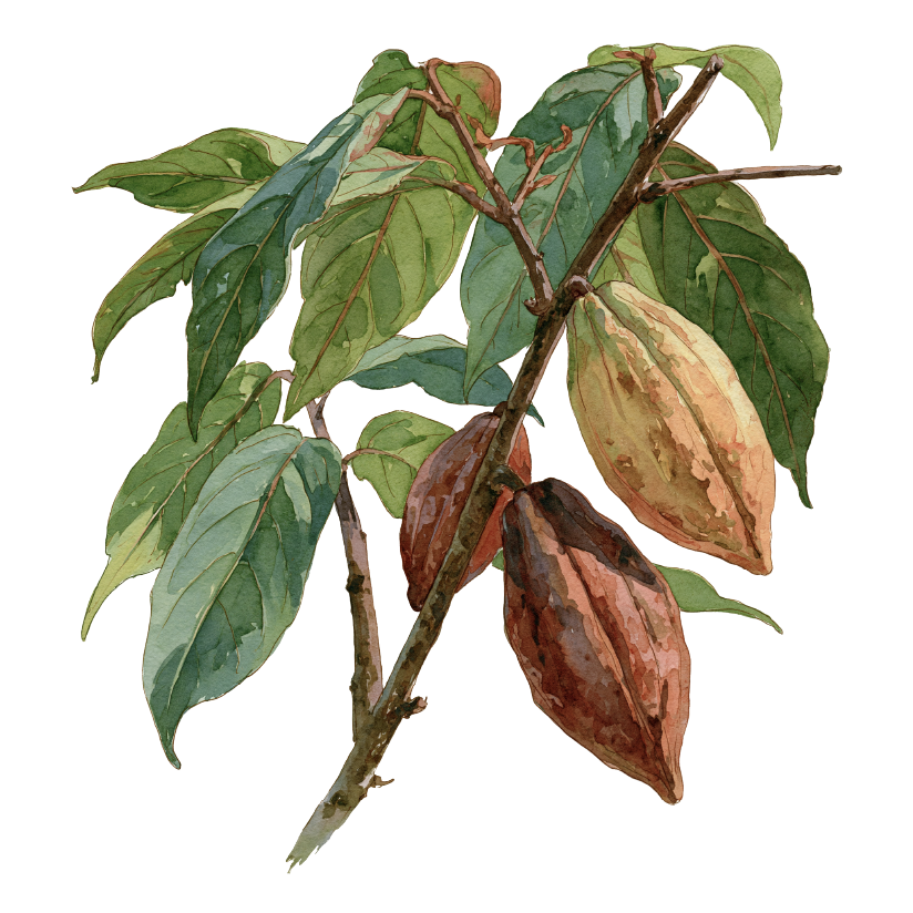 Illustration of a plant with green and brown leaves on a branch.