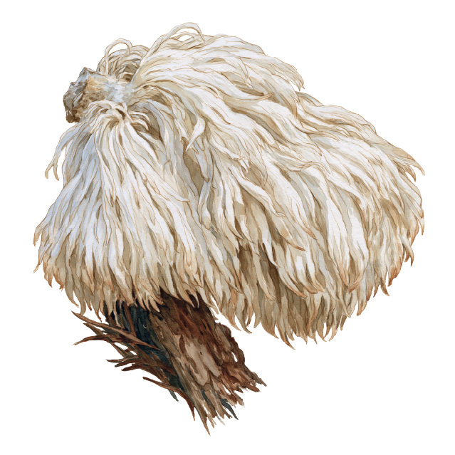Close-up of a thatched roof made from dried grass or straw.