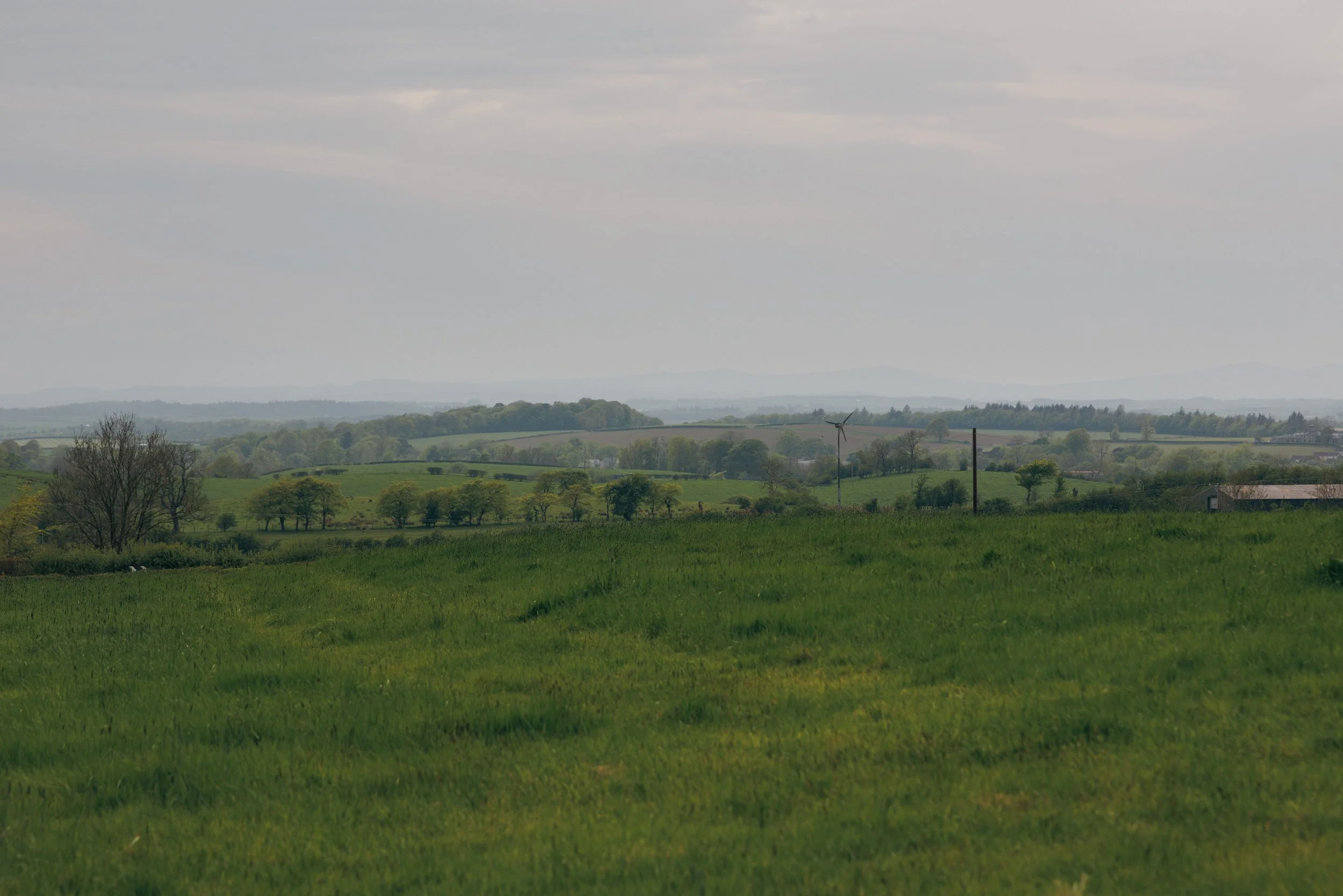 A wide view of a lush, green countryside with scattered trees, rolling hills, and a wind turbine in the distance under a cloudy sky.
