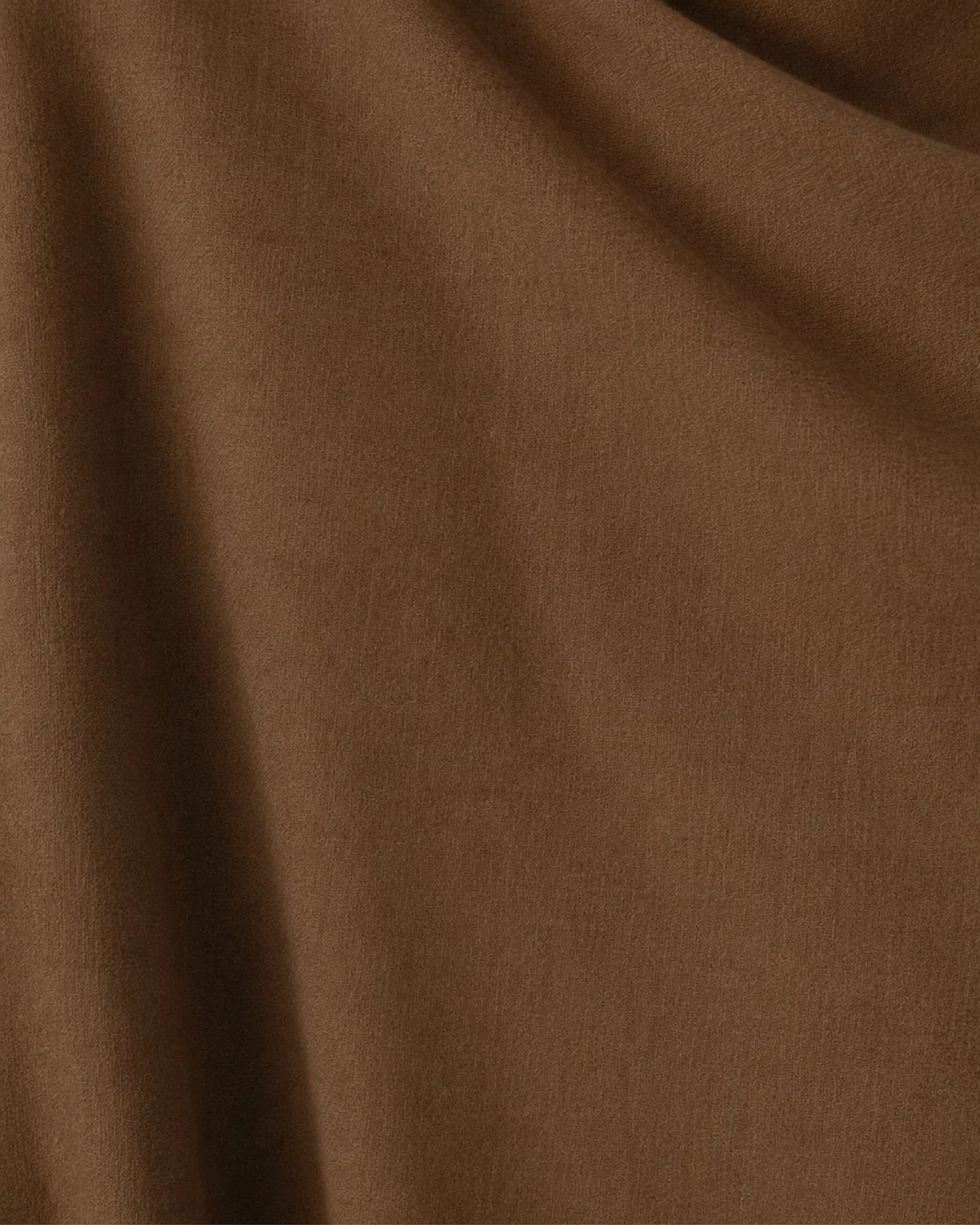 VICUÑA