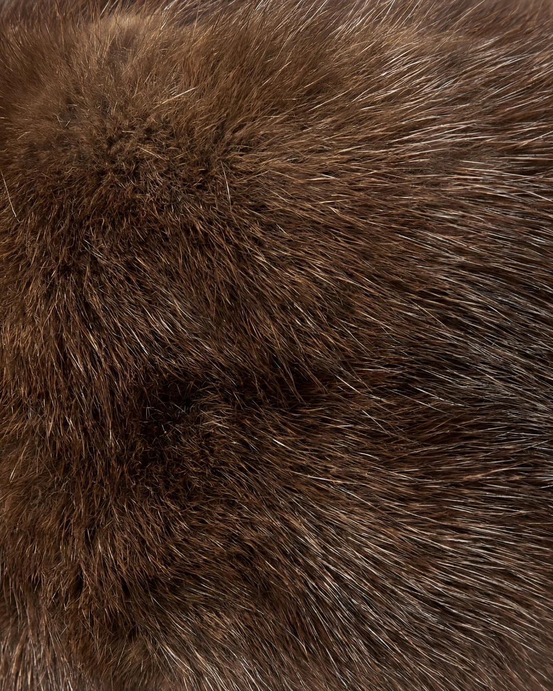 MINK
