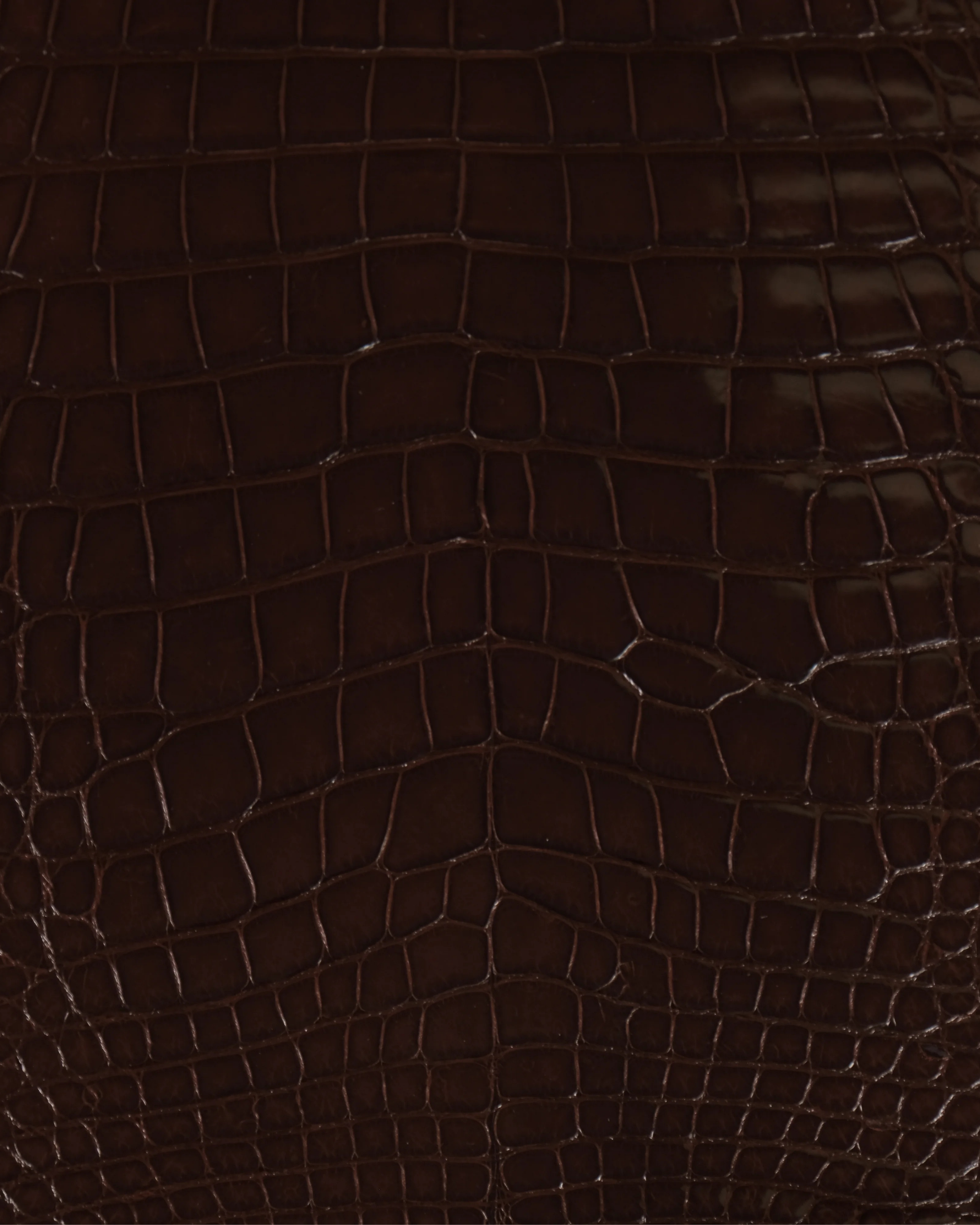 54.png