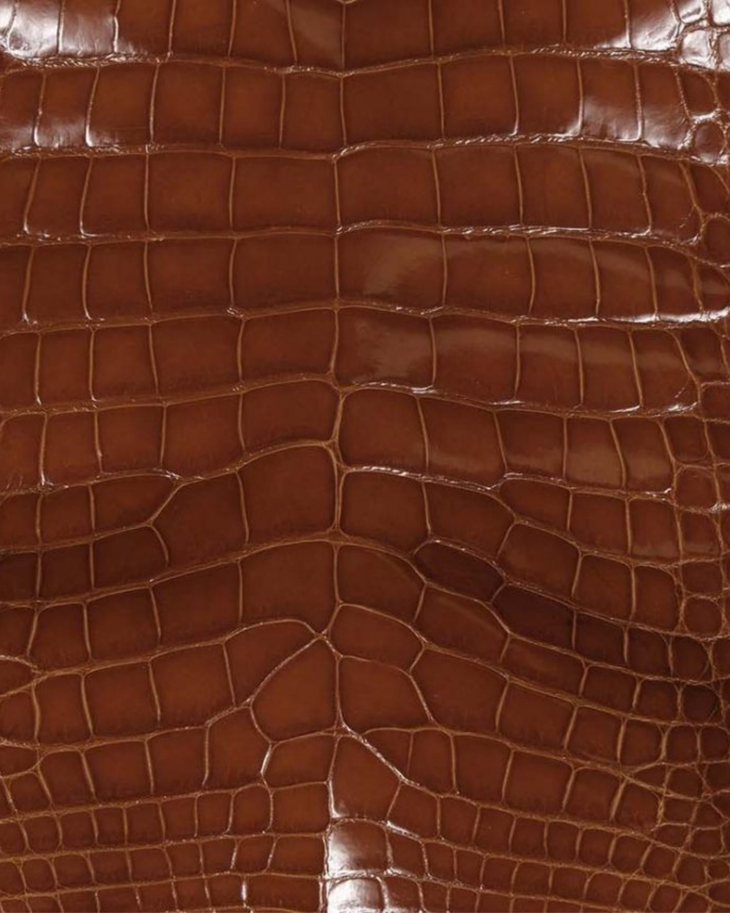 44.png