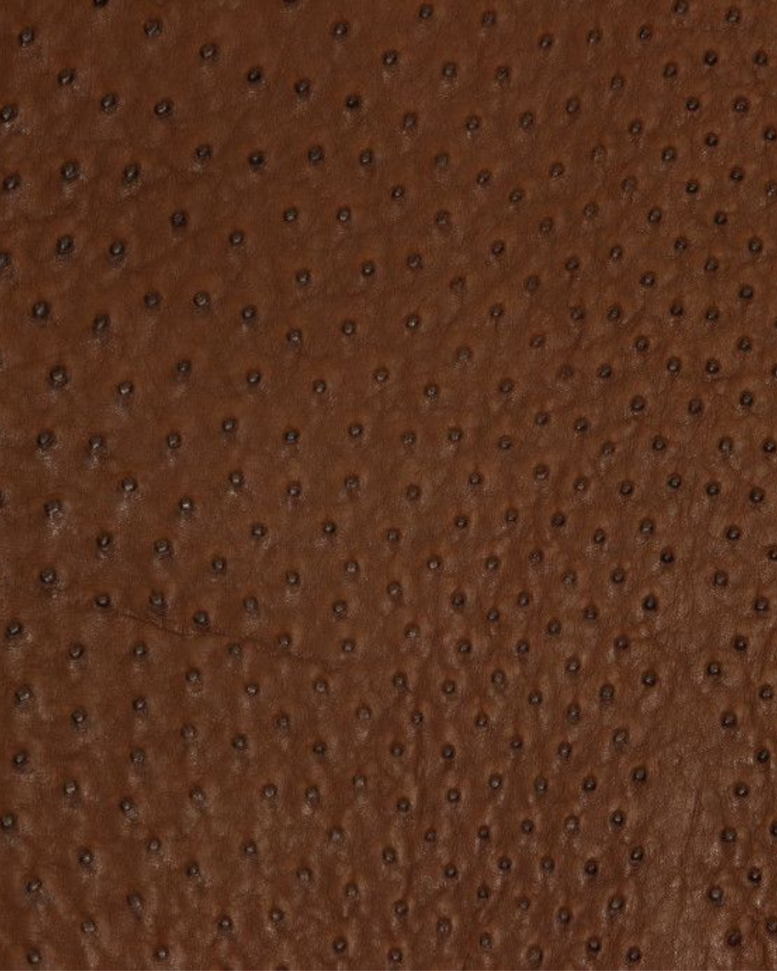 38.png