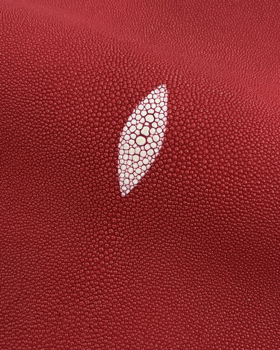 STINGRAY