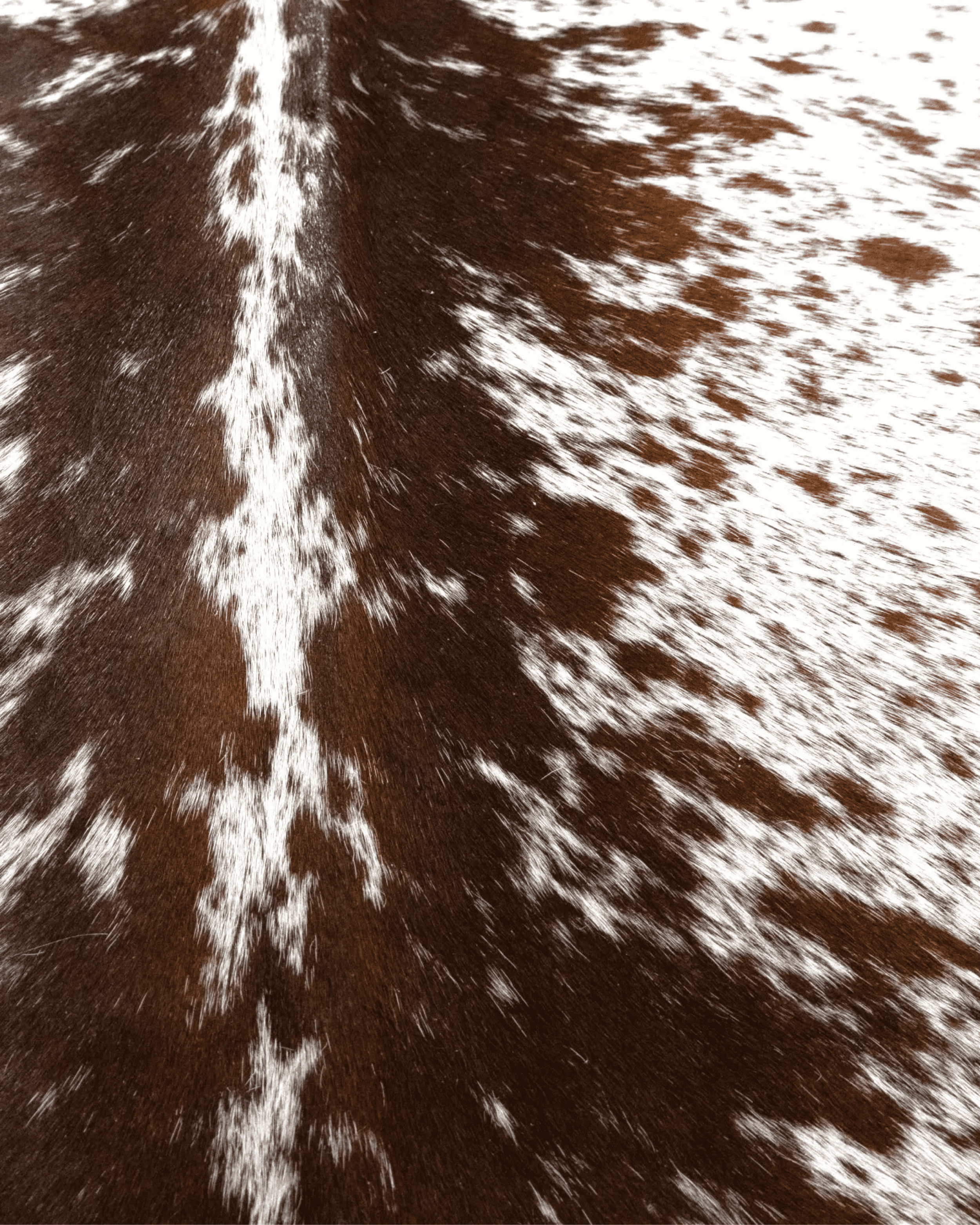 COW NATURAL