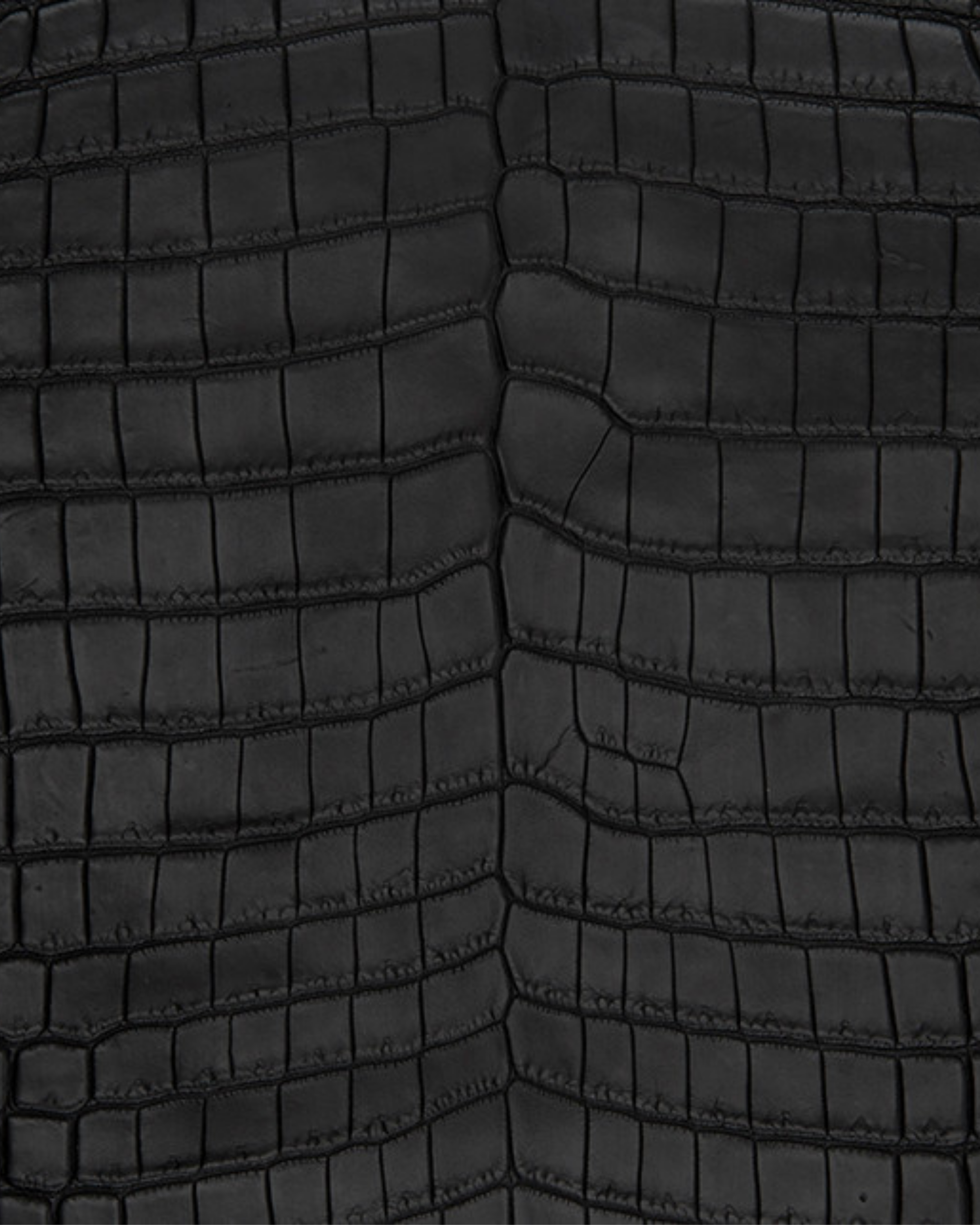 ALLIGATOR