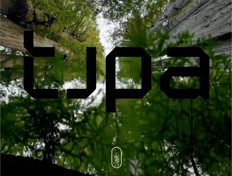 A mirrored image of treetops and blue sky with the word 'LJPA' overlaid in bold black letters.