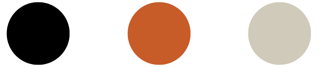 Close-up of three colored circles: orange, dark grey, and light grey on a white background.