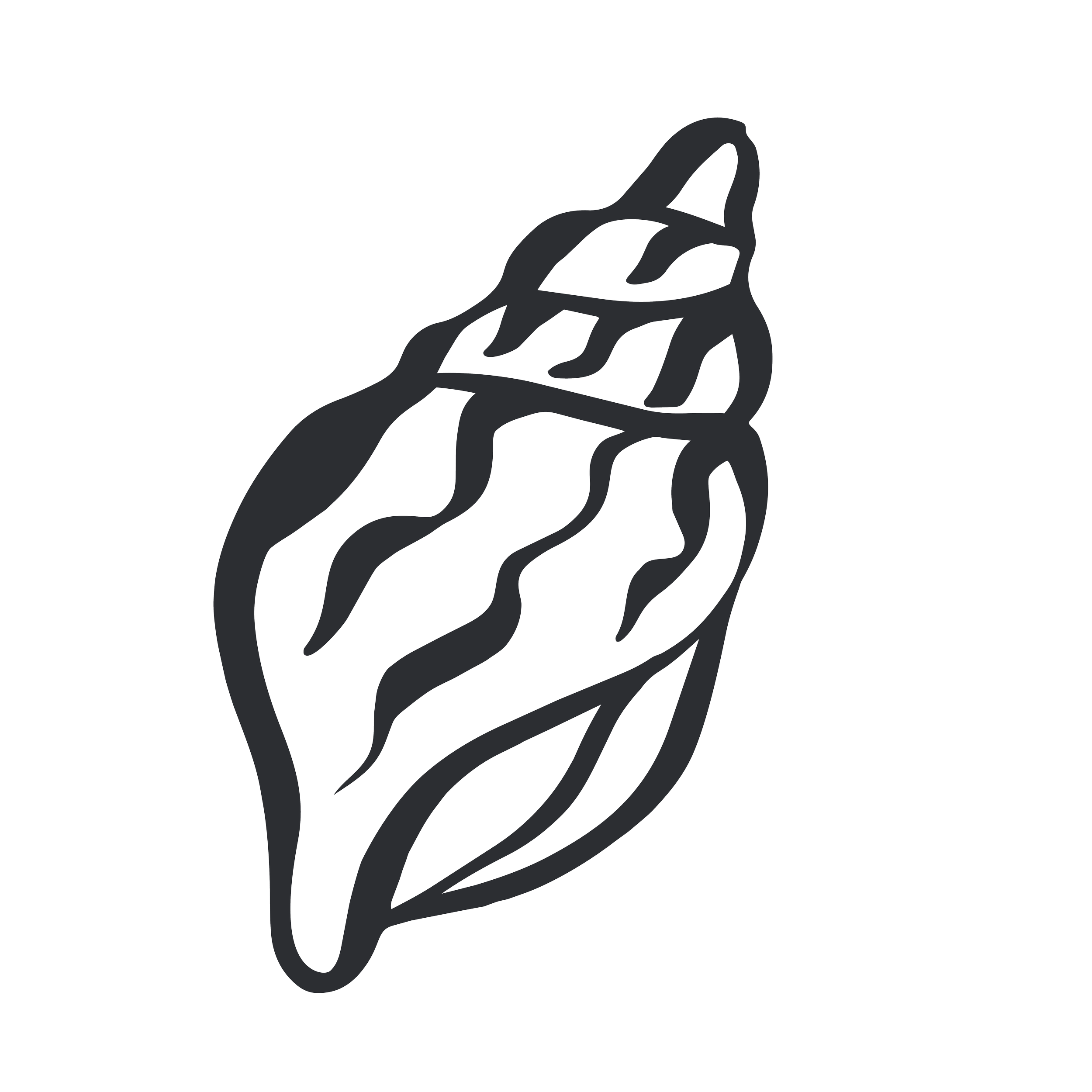 Line drawing of a shell