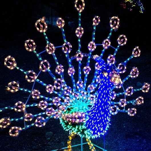 Local Holiday Light Displays, Exhibits, And Events In The Phoenix Valley Area