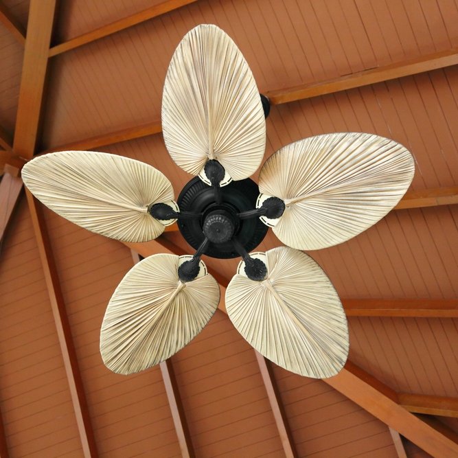 Is This The Year Of The Ceiling Fan?