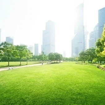 Your Commercial Landscape Lighting Checklist