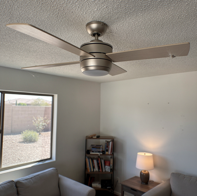 Ceiling Fans For Summer And Winter
