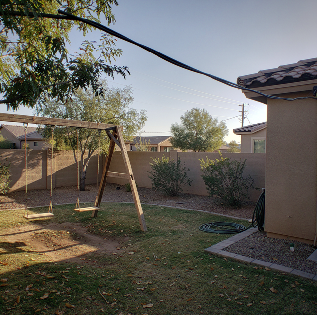 Electrical Safety And Trees