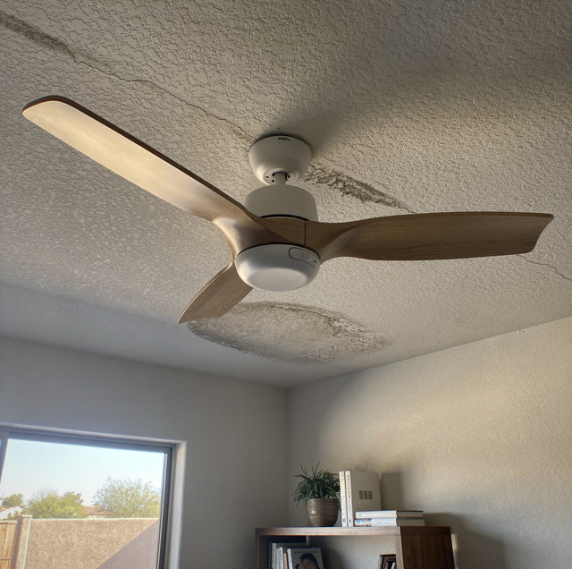How Ceiling Fans Work In Summer And Winter