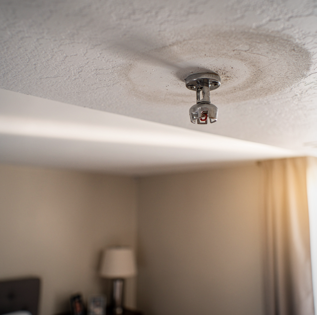 Red residential fire sprinkler head mounted on ceiling