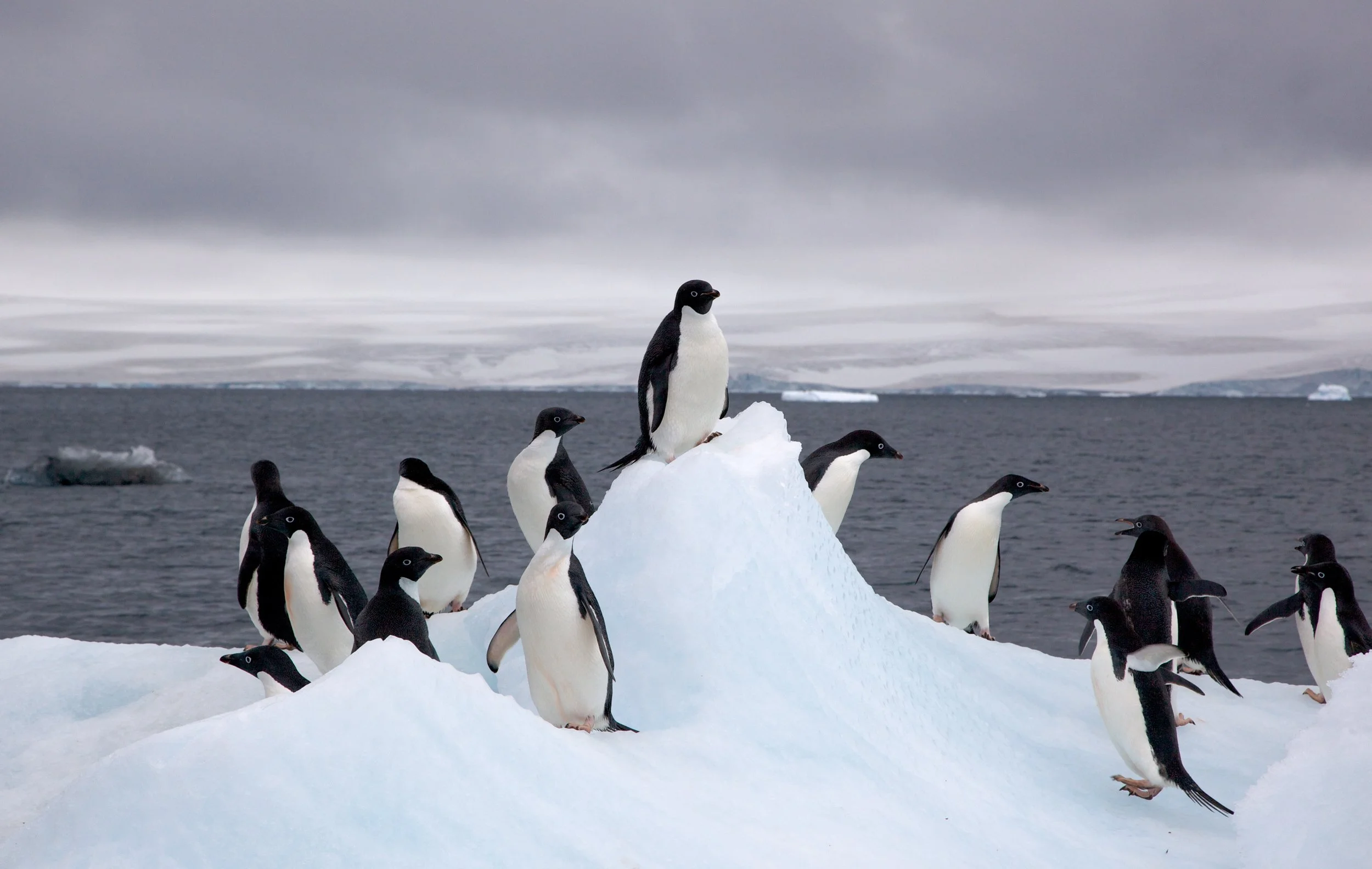 oceanities-11.jpg