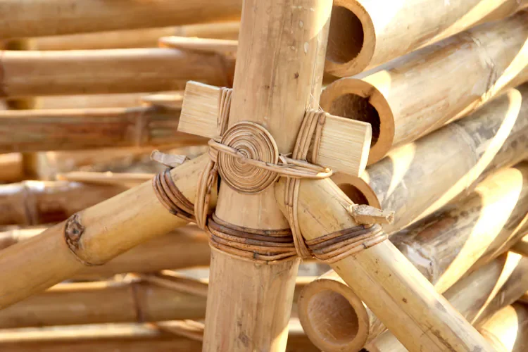 Nahaufnahme von zusammengenagelten Bambusstangen, die zu einem Lager oder Bauwerk verbunden sind.