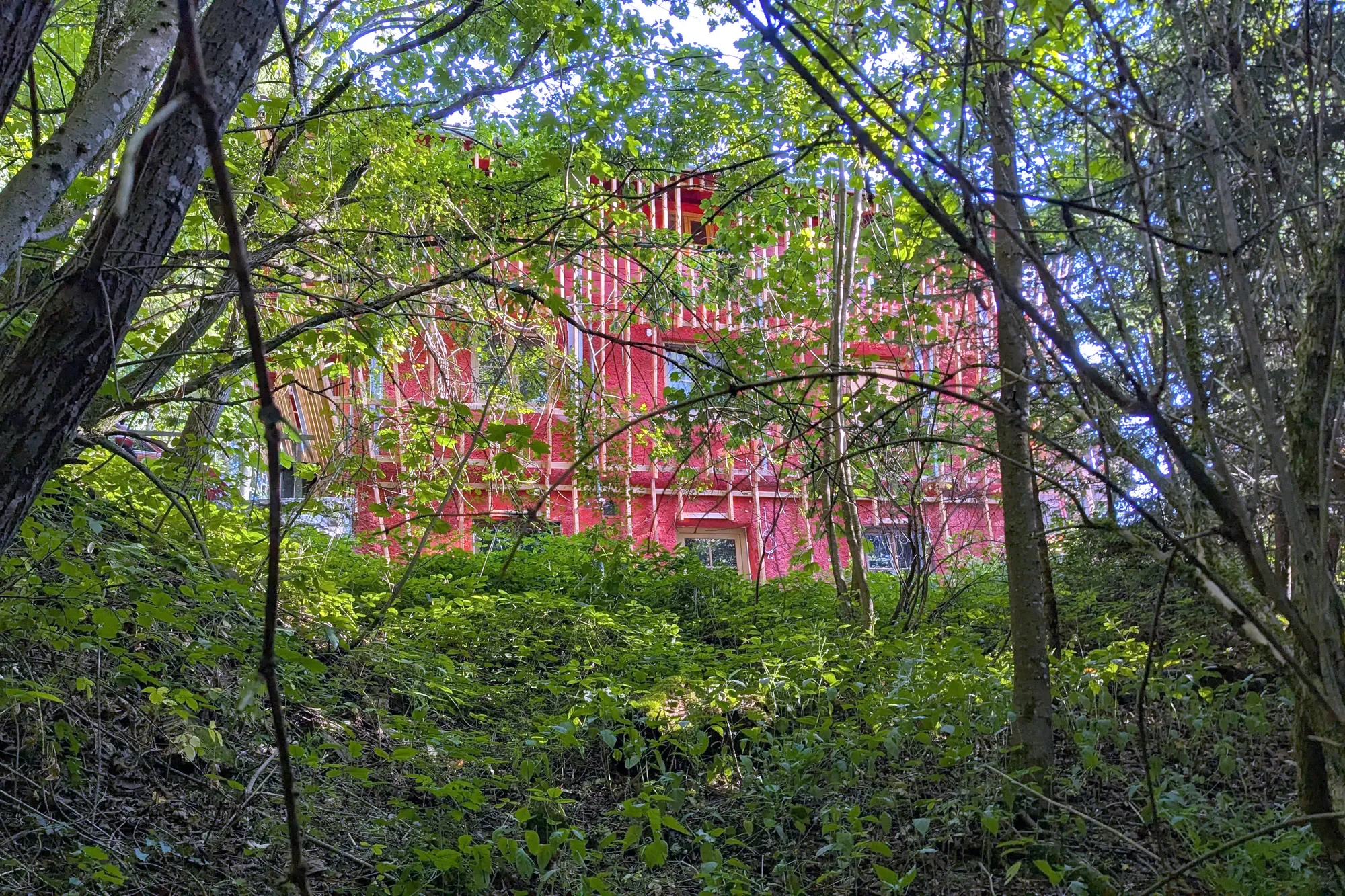 Ein rotes Haus, das von Bäumen und Laub verdeckt wird, befindet sich hinter einem dichten Bewuchs im Wald.