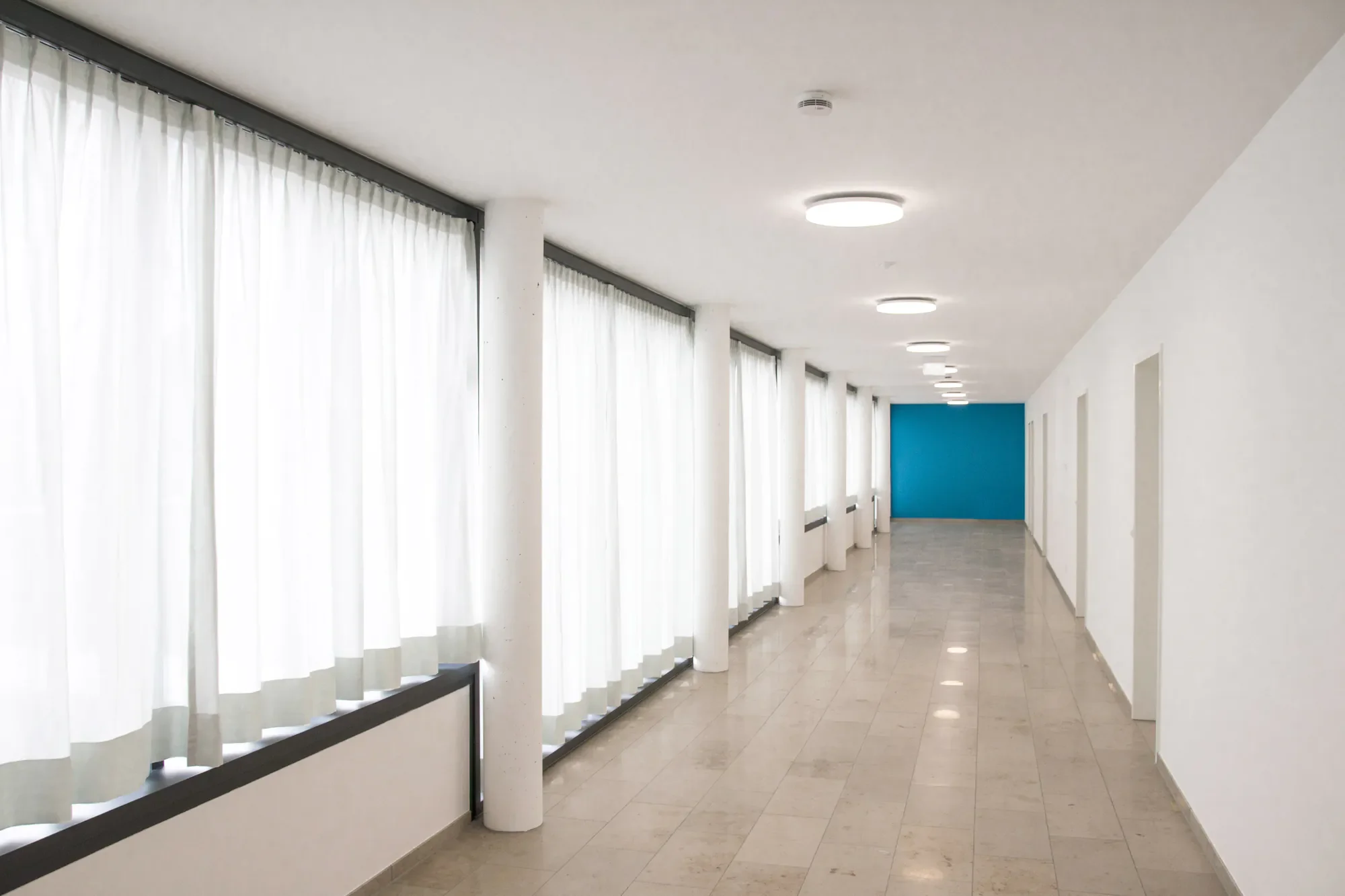 Ein heller Flur mit großen Fenstern mit weißen Vorhängen, weißen Wänden und einer blauen Wand am Ende. Die Deckenlichter sind rund und modern. Der Boden ist hellgrau.