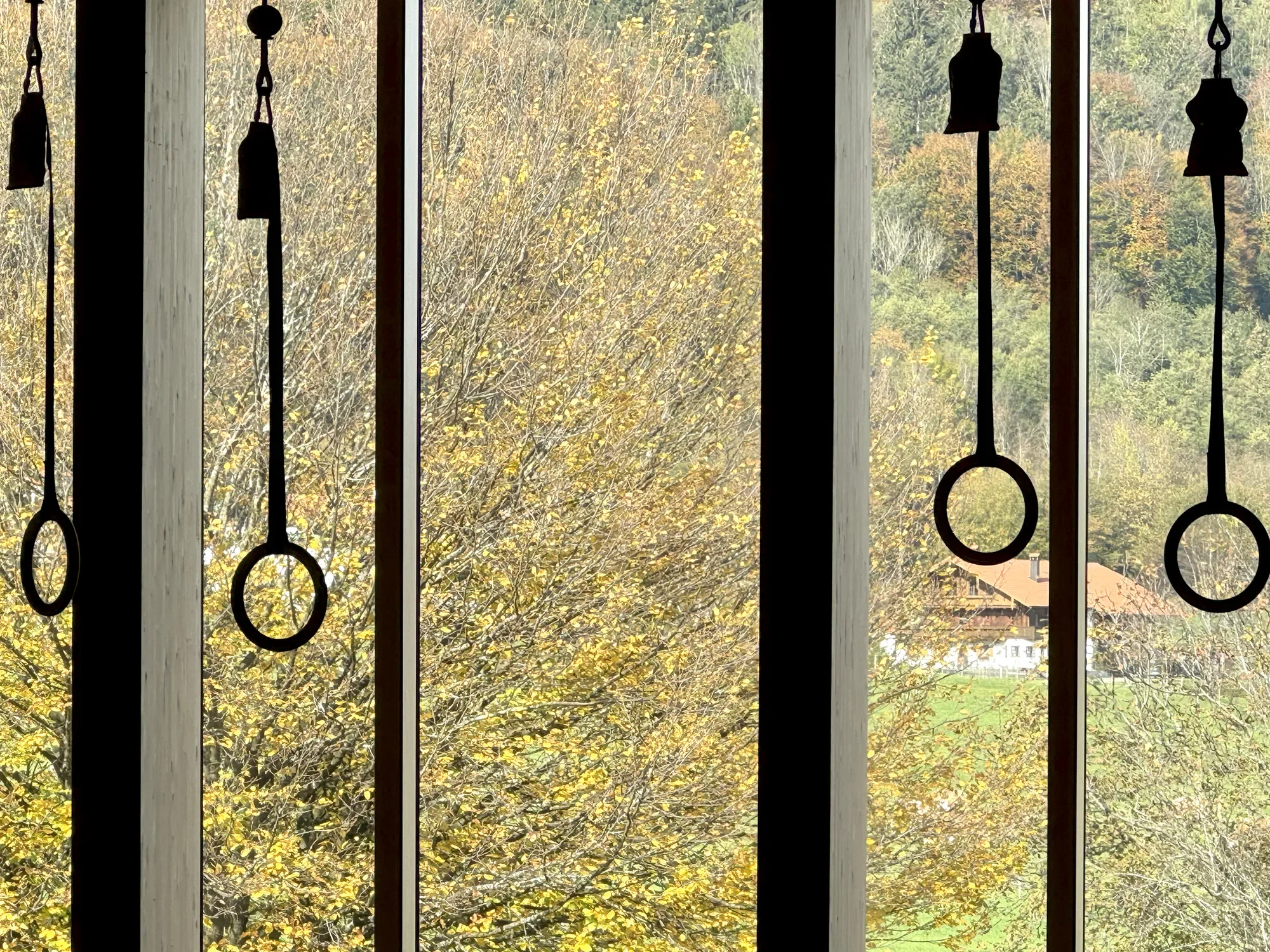 Blick durch vertikale Metallstangen auf Baumkronen mit Herbstlaub in der Ferne.