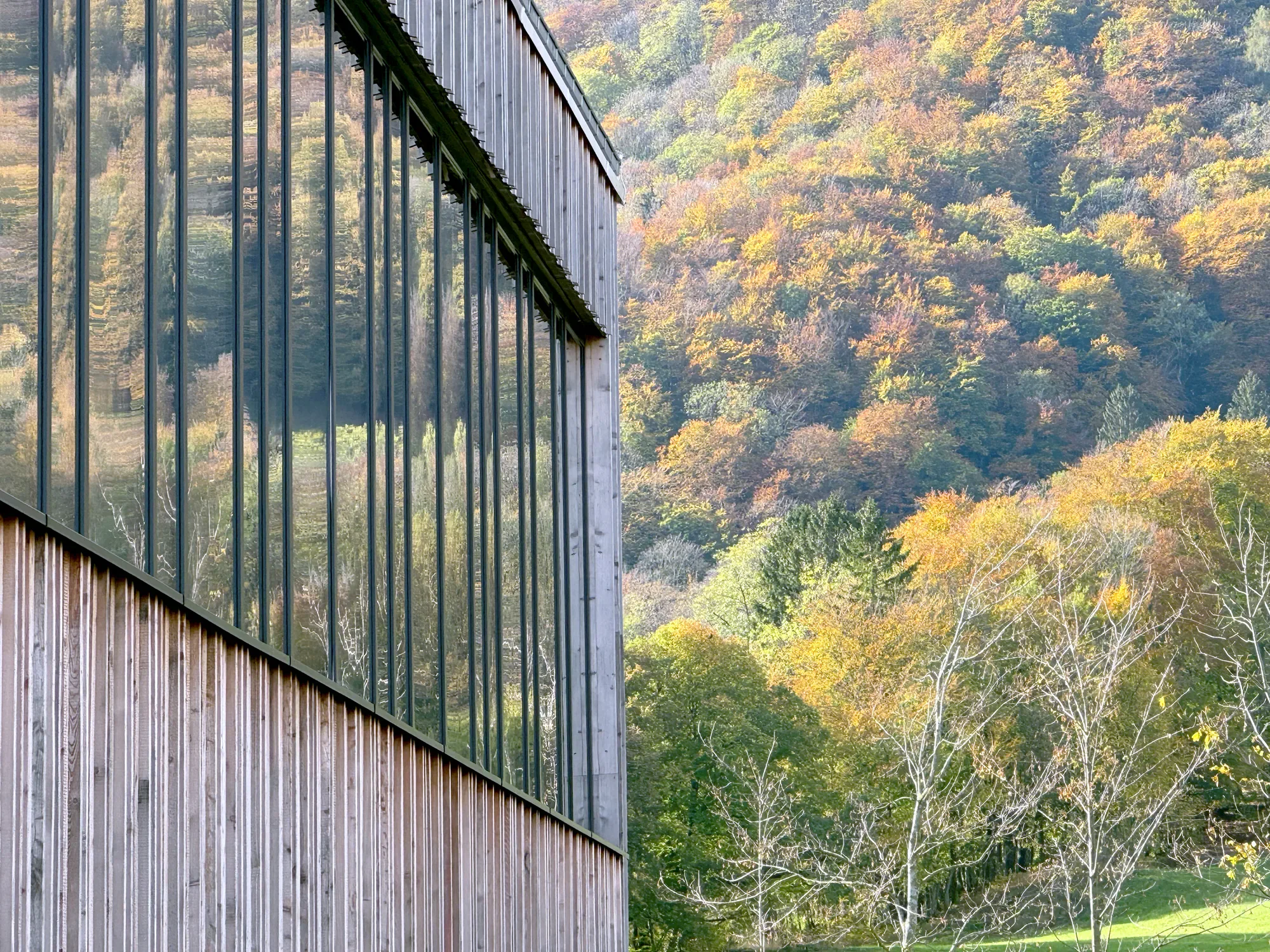 Moderne Gebäudefassade mit großen glasscheiben und vertikal angeordneten Holzpanelen vor einem bunten Herbstwald im Hintergrund.