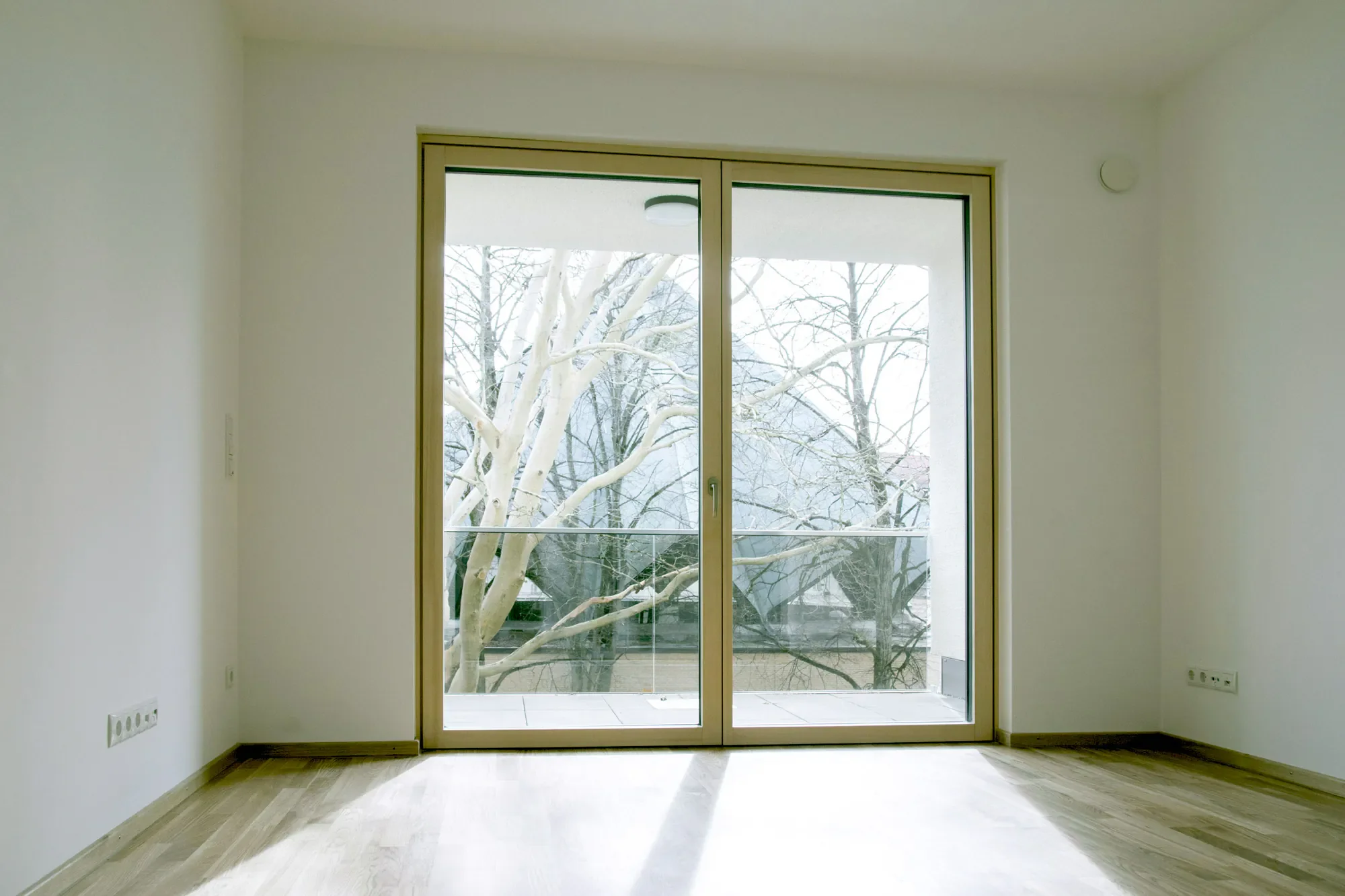 Ein leeres Zimmer mit einem großen Fenster, das nach draußen auf Bäume blickt. Das Zimmer hat weiße Wände, Holzboden und Wandsteckdosen.