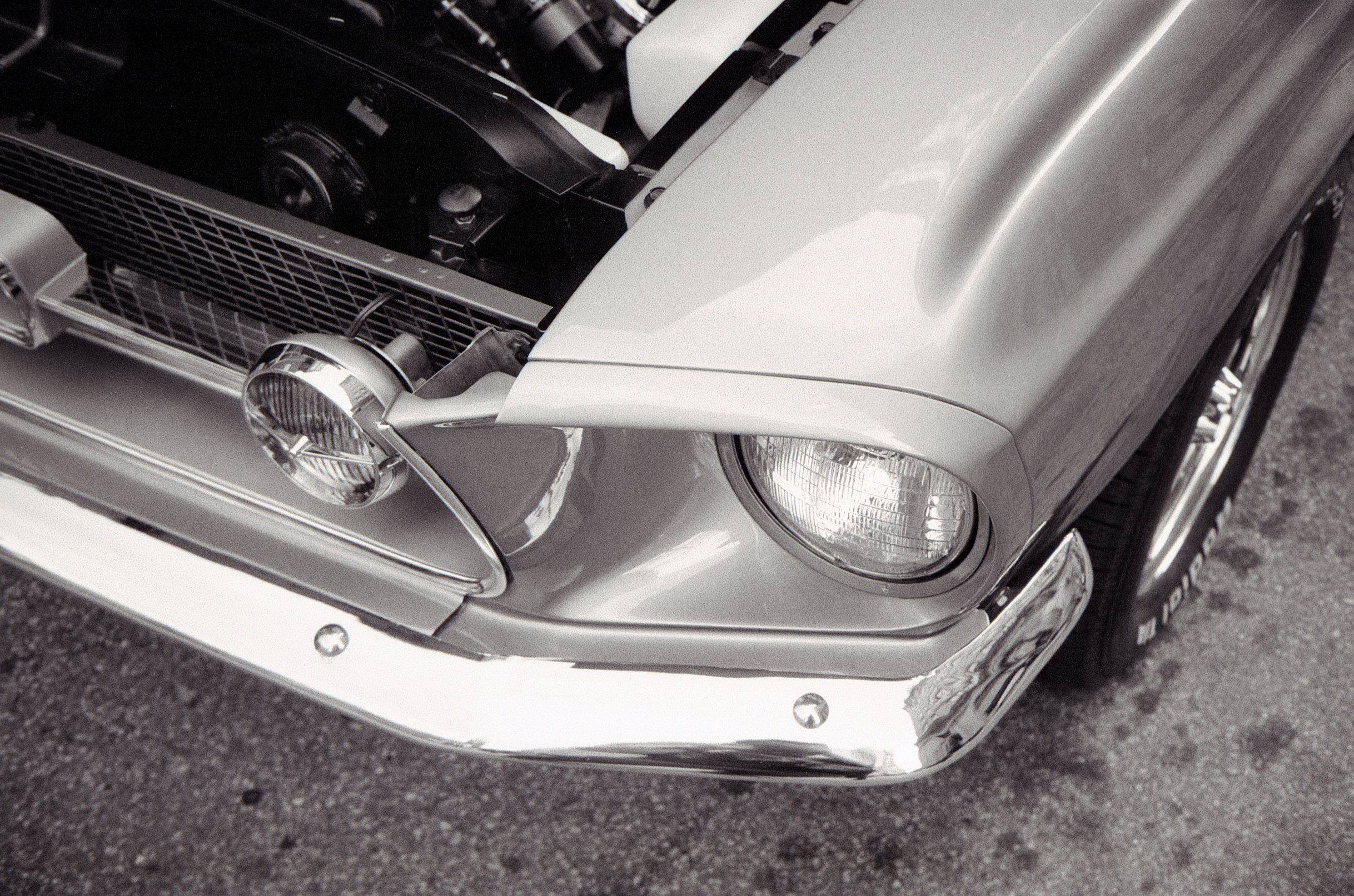 XX_10.jpg
