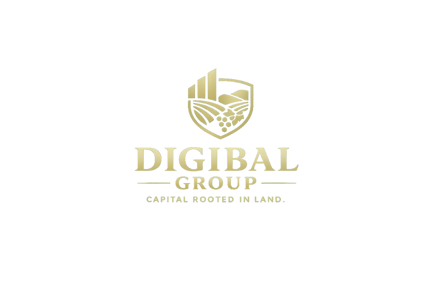 Diversified International Group