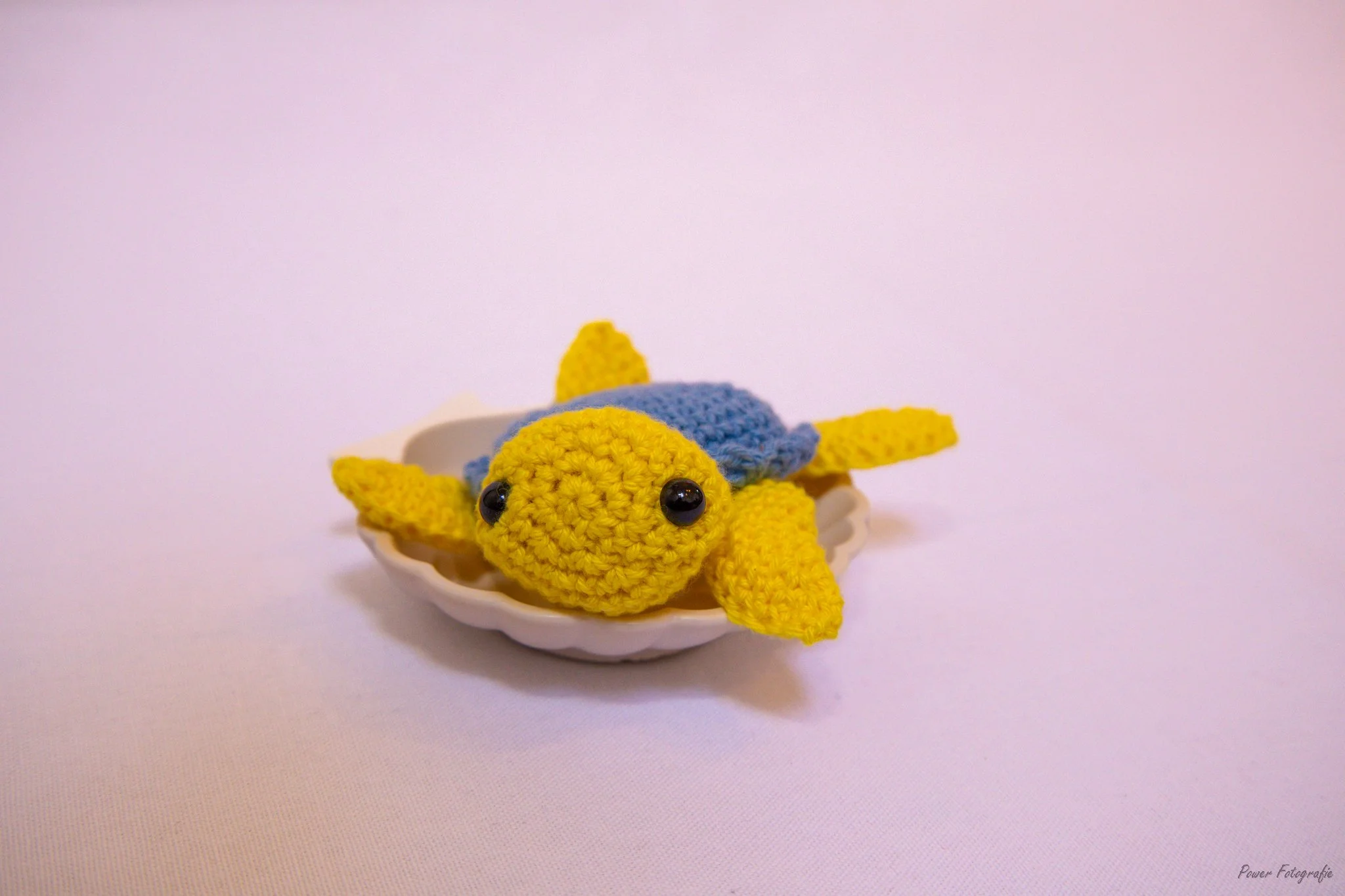 Baby Turtle