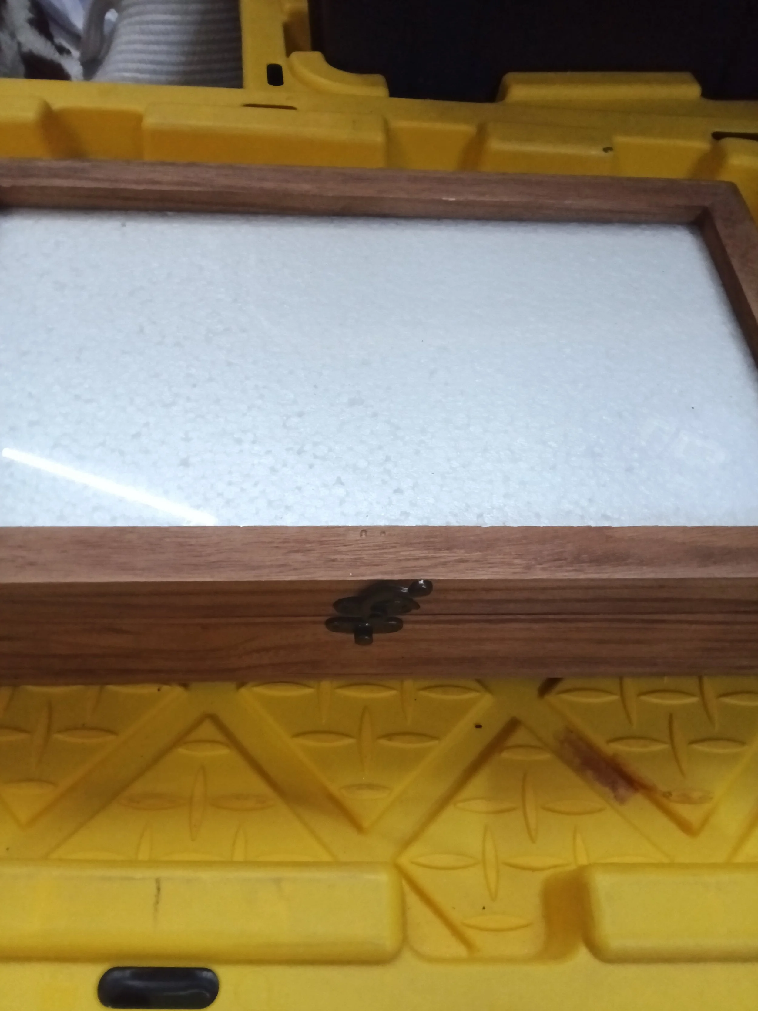 Elegant Wooden Watch Display Box