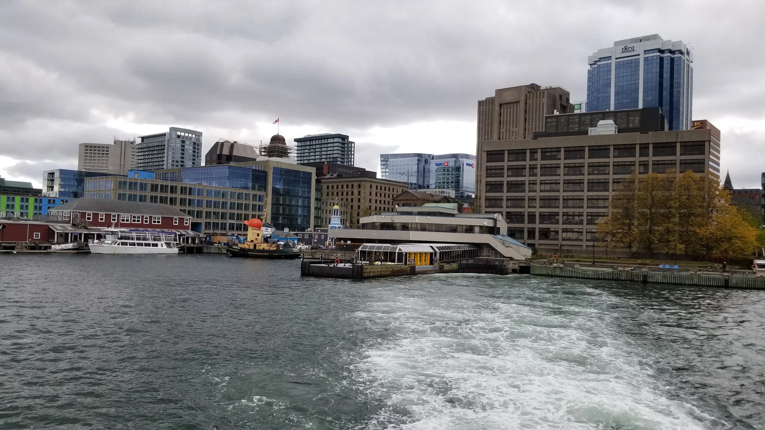 20191019_124712.jpg
