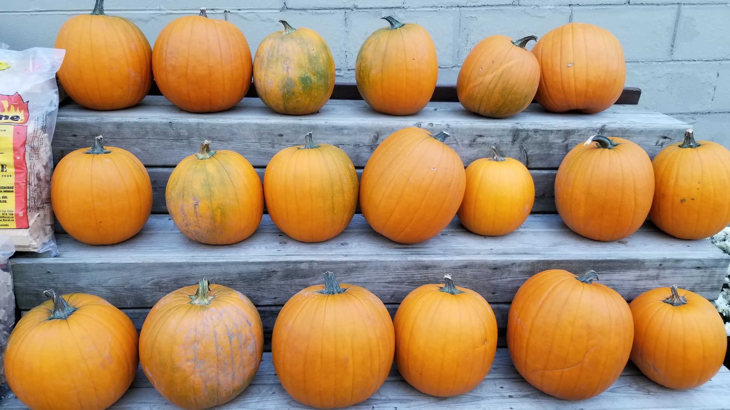 Les couleurs d’automne en Nouvelle-Écosse