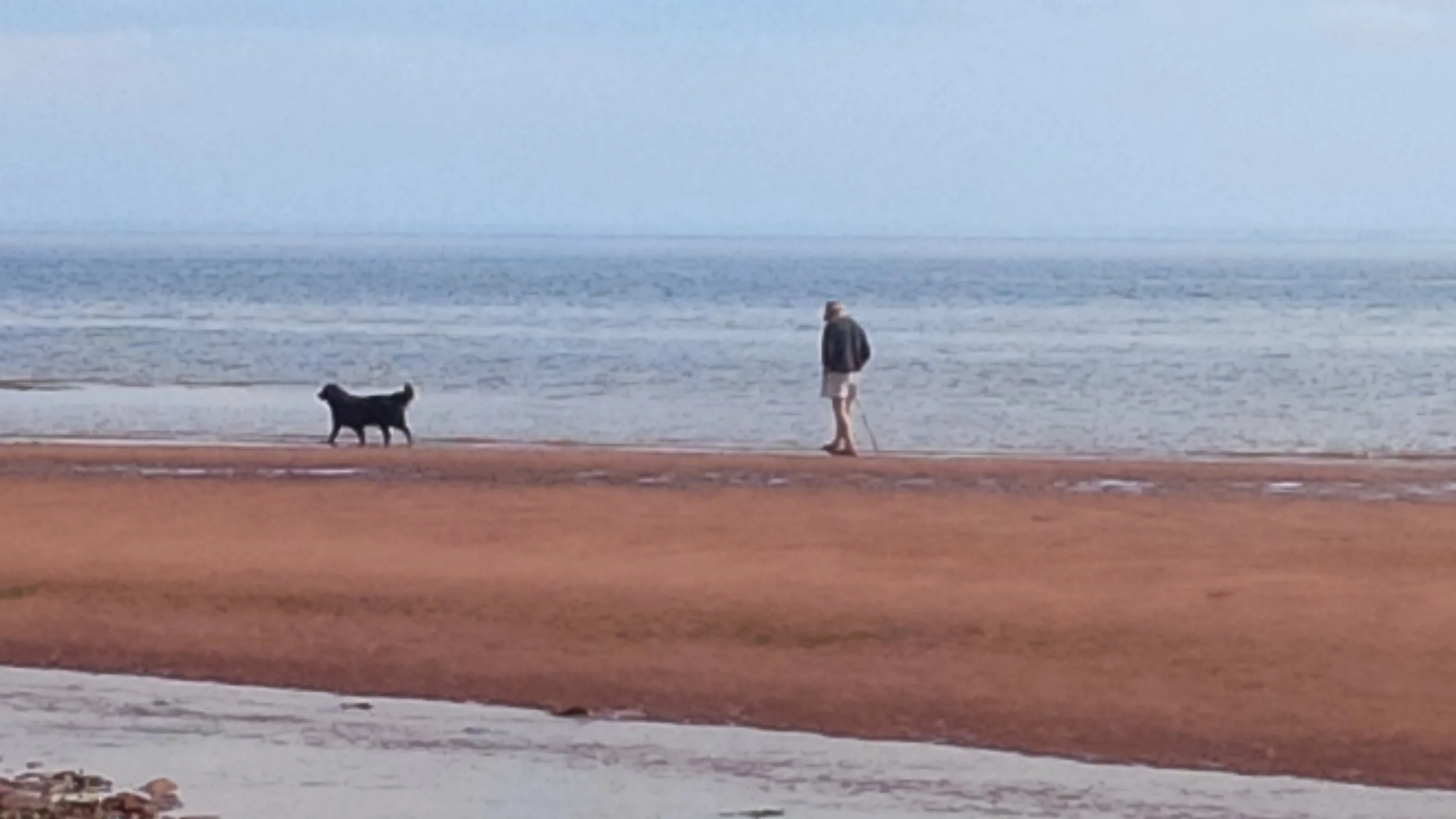 promenade IPÉ.jpg