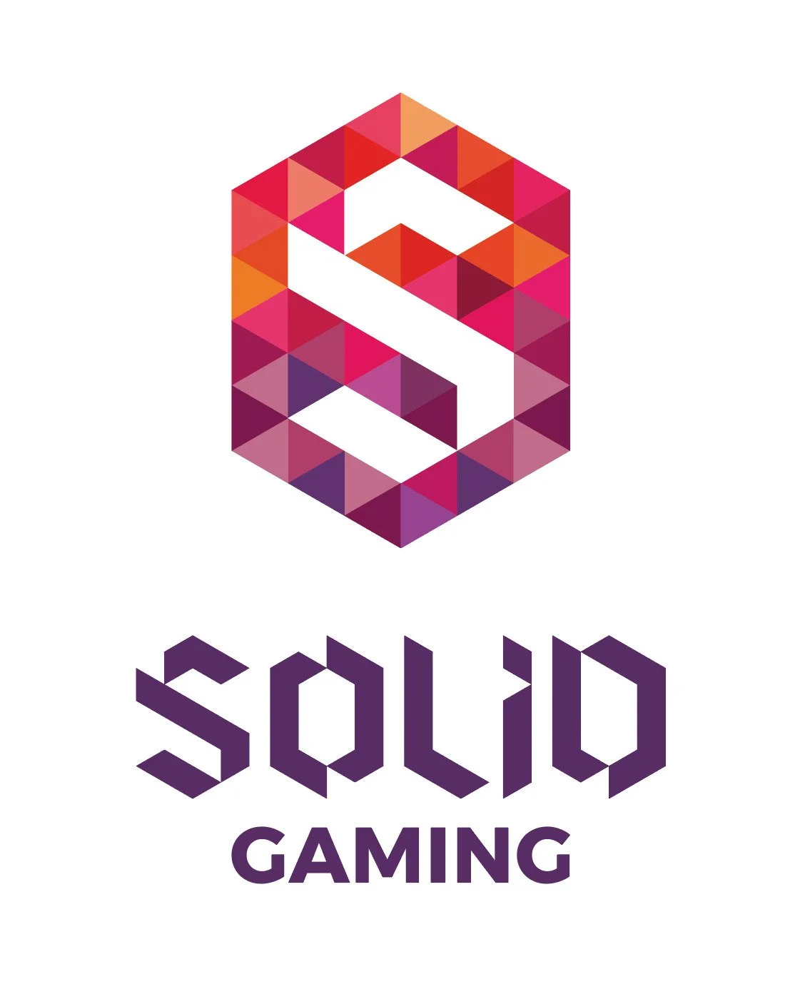 A colorful geometric logo with a hexagonal shape and the letter 'S' in the center, accompanied by the text 'SOLID GAMING' in purple below.