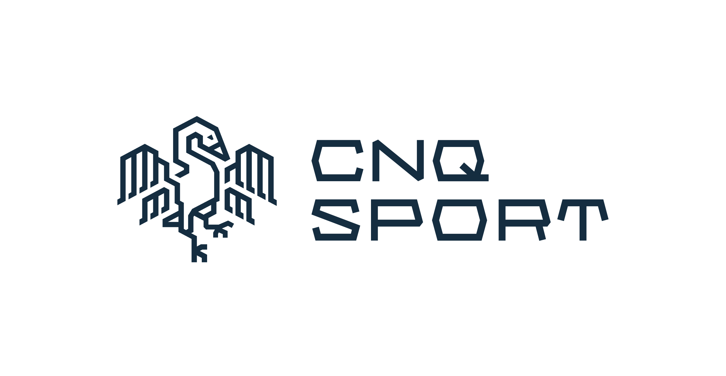 Logo featuring a geometric outline of a bird with the words 'CNC SPORT' in stylized font to the right.